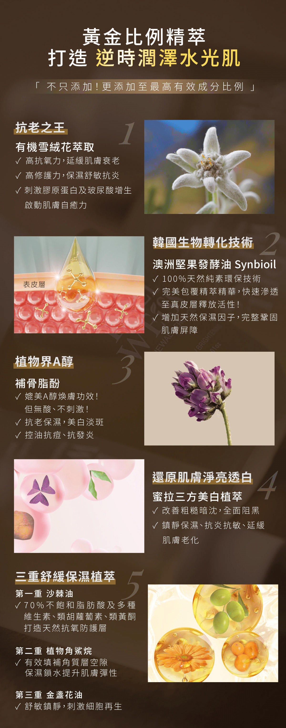 天堂花園雪絨花急救煥膚體驗組-3