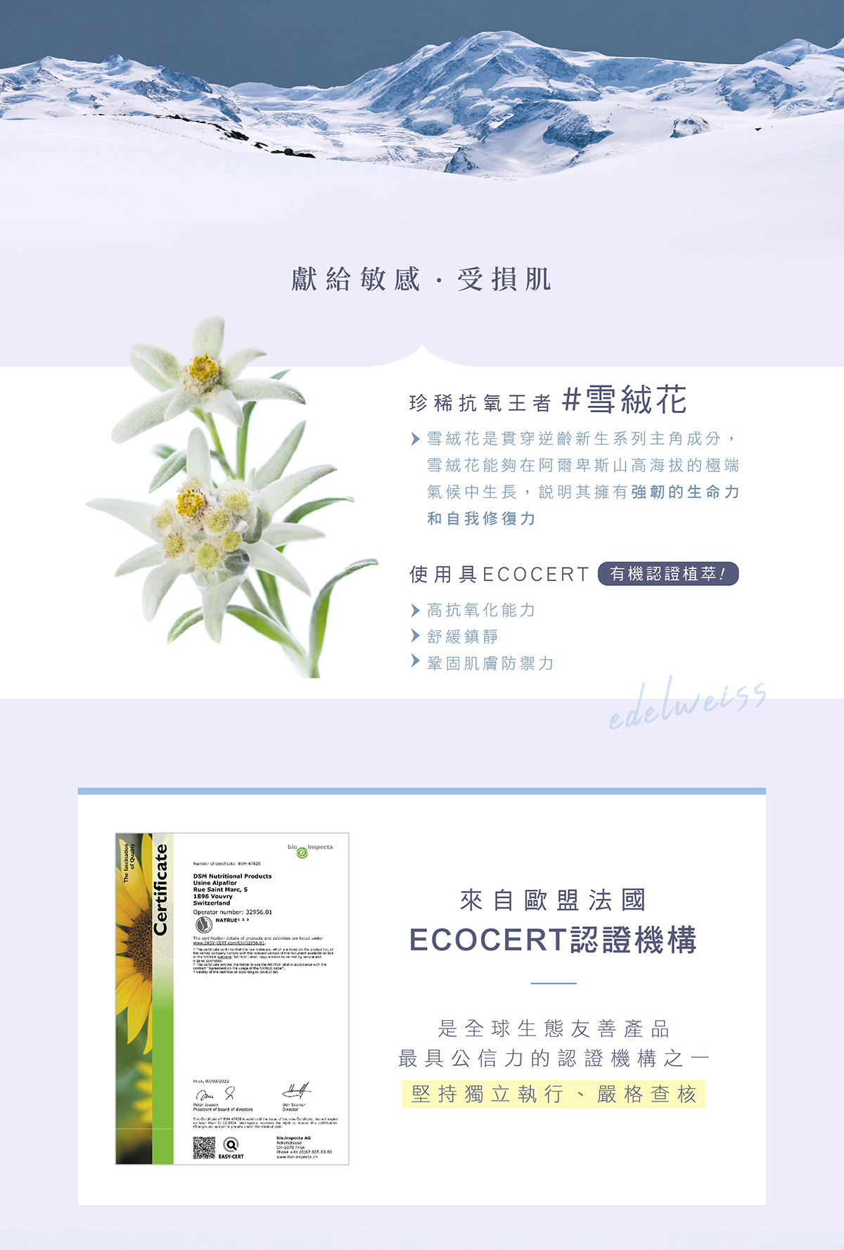 天堂花園雪絨花原B5舒敏輕乳霜 買1送1-2
