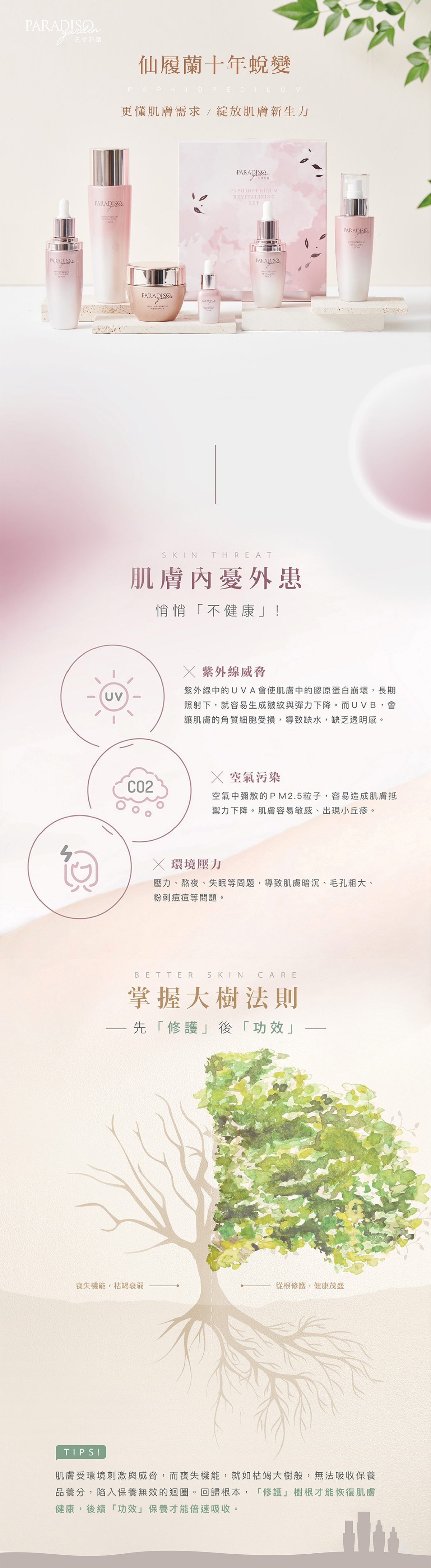 天堂花園仙履蘭天堂奇蹟高效滲透乳 買1送1-1