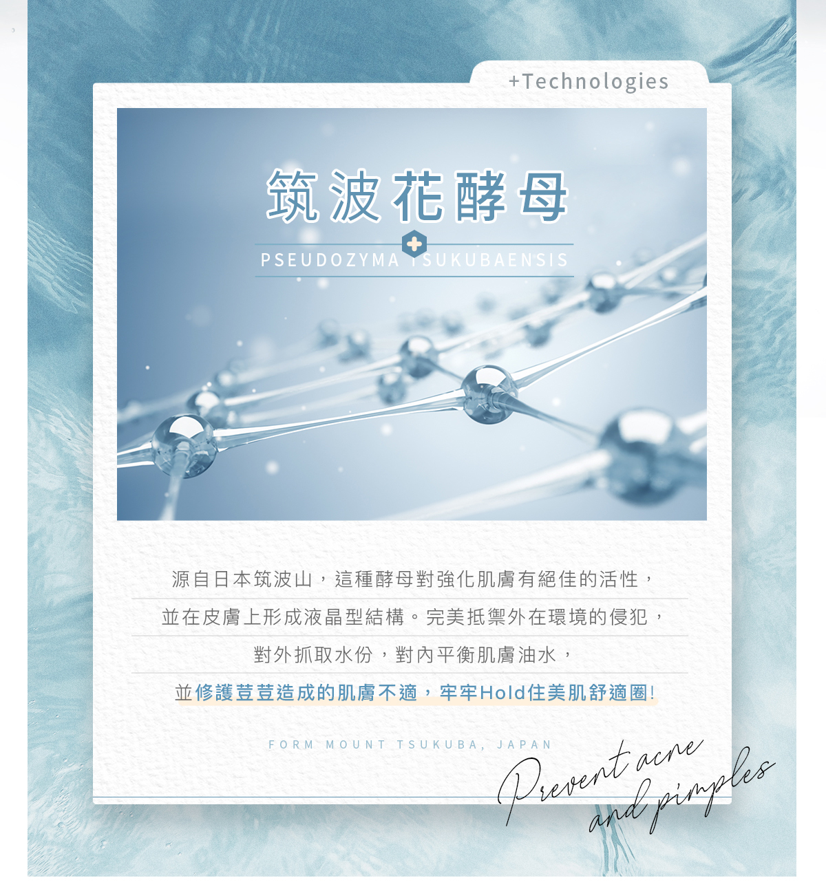 天堂花園花酵抗荳水嫩組-4