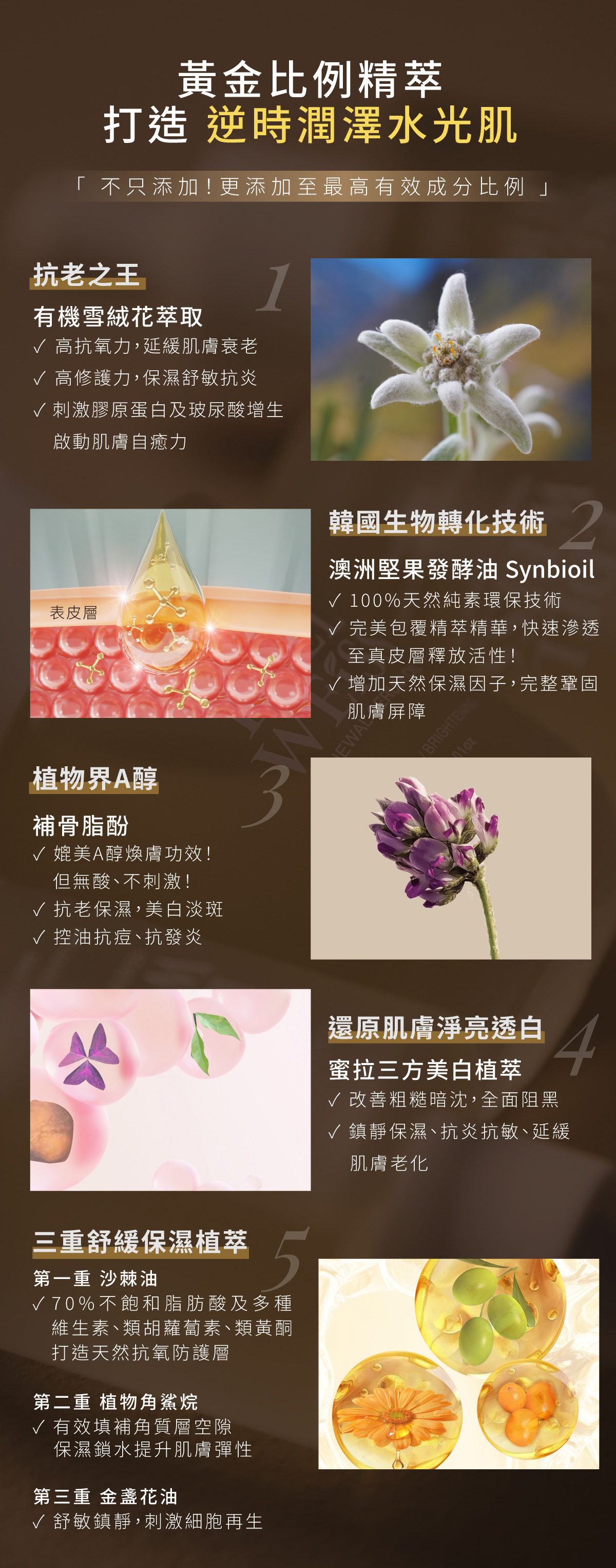 天堂花園仙履蘭奇蹟修護煥亮逆齡組-2